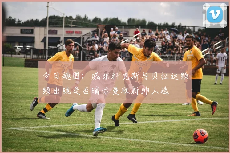 今日趣图：威尔科克斯与贝拉达频频出镜是否暗示曼联新帅人选