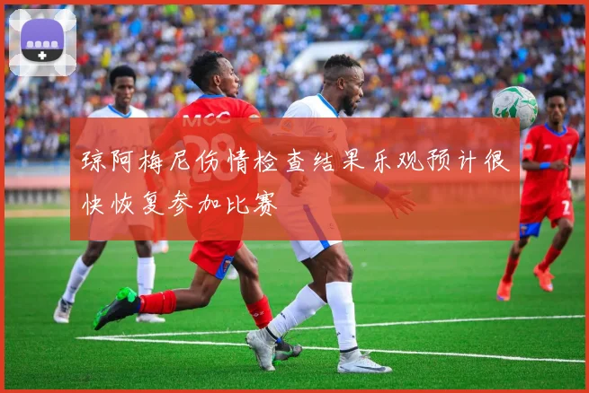 琼阿梅尼伤情检查结果乐观预计很快恢复参加比赛