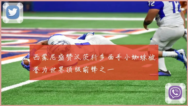 西蒙尼盛赞汉茨科多面手小蜘蛛被誉为世界顶级前锋之一