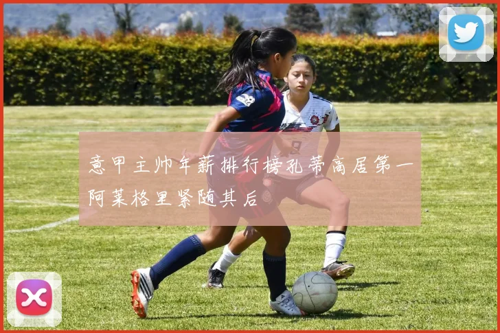 意甲主帅年薪排行榜孔蒂高居第一阿莱格里紧随其后