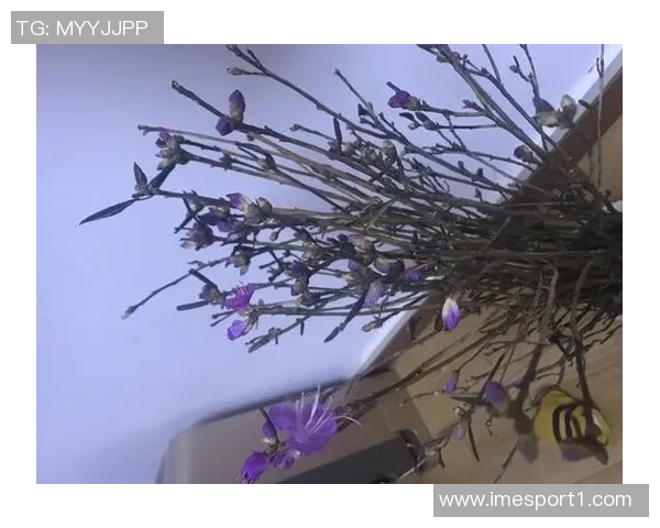 谢尔曼谈状态波动强调心态平和并随时准备上场比赛